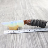 Springbok Horn Handle Opalite Blade Ornamental Knife #6857     Mountain Man Knife