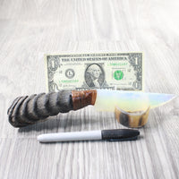 Springbok Horn Handle Opalite Blade Ornamental Knife #6857     Mountain Man Knife