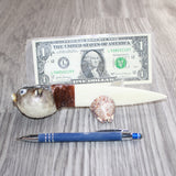 Parrot Puffer Fish Handle Bone Blade Ornamental Knife #02865    Mountain Man Knife