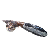 Othoceras Fossil Handle Stone Blade Ornamental Knife #2957    Mountain Man Knife