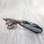 Othoceras Fossil Handle Stone Blade Ornamental Knife #2957    Mountain Man Knife