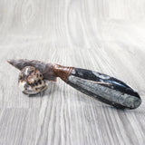 Othoceras Fossil Handle Stone Blade Ornamental Knife #2957    Mountain Man Knife