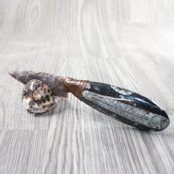 Othoceras Fossil Handle Stone Blade Ornamental Knife #2957    Mountain Man Knife