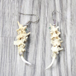 Rattlesnake Vertebrae  Fangs Earrings  #4957   Mountain Man Earrings