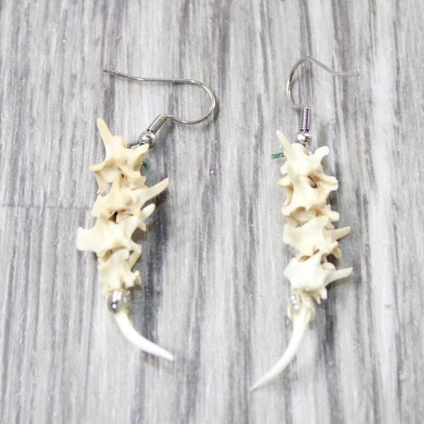 Rattlesnake Vertebrae  Fangs Earrings  #4957   Mountain Man Earrings