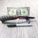 Springbok Horn Handle Glass Blade Ornamental Knife #1957   Mountain Man Knife