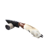 Coyote Foot Handle Obsidian Blade Ornamental Knife #1057  Mountain Man Knife