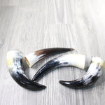 4 Small Polished Cow Horns #7057    Natural colored