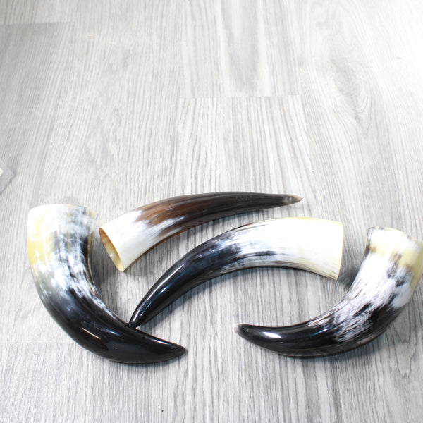 4 Small Polished Cow Horns #7057    Natural colored