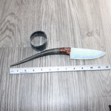 Springbok Horn Handle Opalite Blade Ornamental Knife #01465     Mountain Man Knife