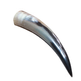 1 Polished Cow Horn #465    Natural Colored