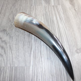 1 Polished Cow Horn #465    Natural Colored