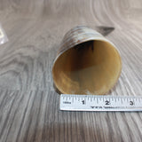 1 Polished Cow Horn #465    Natural Colored