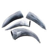4 Small Raw Unfinished Cow Horns #1357   Natural Colored b