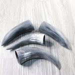 4 Small Raw Unfinished Cow Horns #1357   Natural Colored