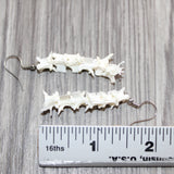 Rattlesnake Vertebrae  Earrings  #25265   Mountain Man Earrings