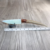 Deer Antler Handle Opalite Blade Ornamental Knife #10365     Mountain Man Knife