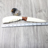 Deer Jaw Handle Bone Blade Ornamental Knife #1457    Mountain Man Knife