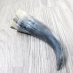 1 Raw Unfinished Cow Horn #4457   Natural Colored