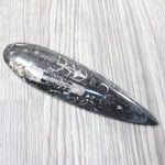 1 Large Orthoceras Fossil  #2457