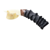 Impala Horn Handle Bone Blade Ornamental Knife #2557    Mountain Man Knife