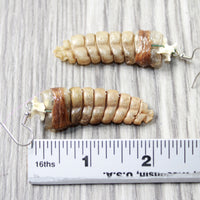 Very Large Rattlesnake Rattle Earrings  #6557  Mountain Man Earrings