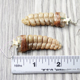 Very Large Rattlesnake Rattle Earrings  #6557  Mountain Man Earrings