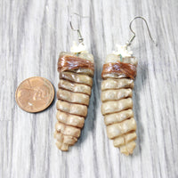 Very Large Rattlesnake Rattle Earrings  #6557  Mountain Man Earrings