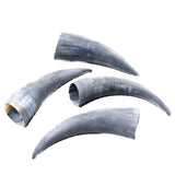 4 Small Raw Unfinished Cow Horns #3557   Natural Colored b