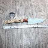 Cholla Cactus Wood Handle Opalite Blade Ornamental Knife #21265     Mountain Man Knife