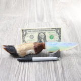 Deer Foot Handle Opalite Blade Ornamental Knife #7857     Mountain Man Knife