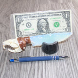 Muskrat Skull Handle Opalite Blade Ornamental Knife #08466     Mountain Man Knife