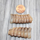 2 Rattlesnake Rattles  #266    Taxidermy Diamondback Sidewinder
