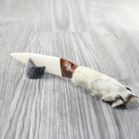 Coyote Foot Handle Bone Blade Ornamental Knife #1057    Mountain Man Knife