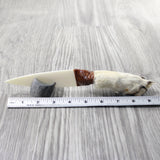Coyote Foot Handle Bone Blade Ornamental Knife #1057    Mountain Man Knife