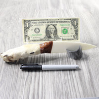 Coyote Foot Handle Bone Blade Ornamental Knife #1057    Mountain Man Knife