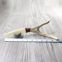 Deer Antler Handle Bone Blade Ornamental Knife #2057    Mountain Man Knife