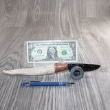 Axis Deer Antler Handle Obsidian Blade Ornamental Knife #13266  Mountain Man Knife