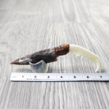 Fox Jaw Handle Stone Blade Ornamental Knife #8158    Mountain Man Knife
