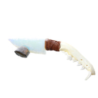 Coyote Jaw Handle Opalite Blade Ornamental Knife #8258     Mountain Man Knife