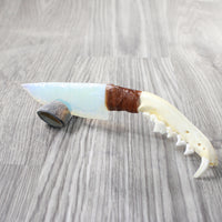 Coyote Jaw Handle Opalite Blade Ornamental Knife #8258     Mountain Man Knife