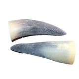 2 Small Unfinished Cow Horns #266    Natural Colored