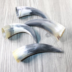 4 Small Raw Unfinished Cow Horns #8948 Natural Colored