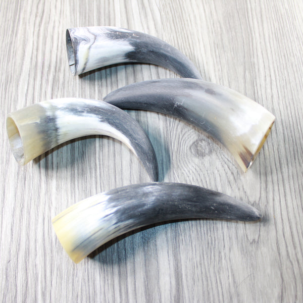 4 Small Raw Unfinished Cow Horns #8948 Natural Colored