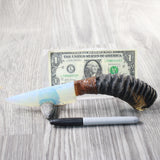 Springbok Horn Handle Opalite Blade Ornamental Knife #1458     Mountain Man Knife