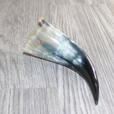 1 Small Polished Cow Horn #466 Natural Colored