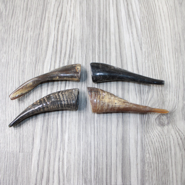 4 Small Polished Goat Horns #2048 Natural Colored