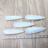 5 Opalite Ornamental Spearheads  #9658      Arrowhead