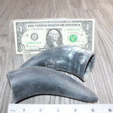 2 Small Unfinished Cow Horns #366    Natural Colored