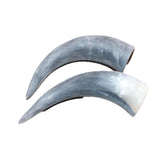 2 Small Unfinished Cow Horns #666    Natural Colored